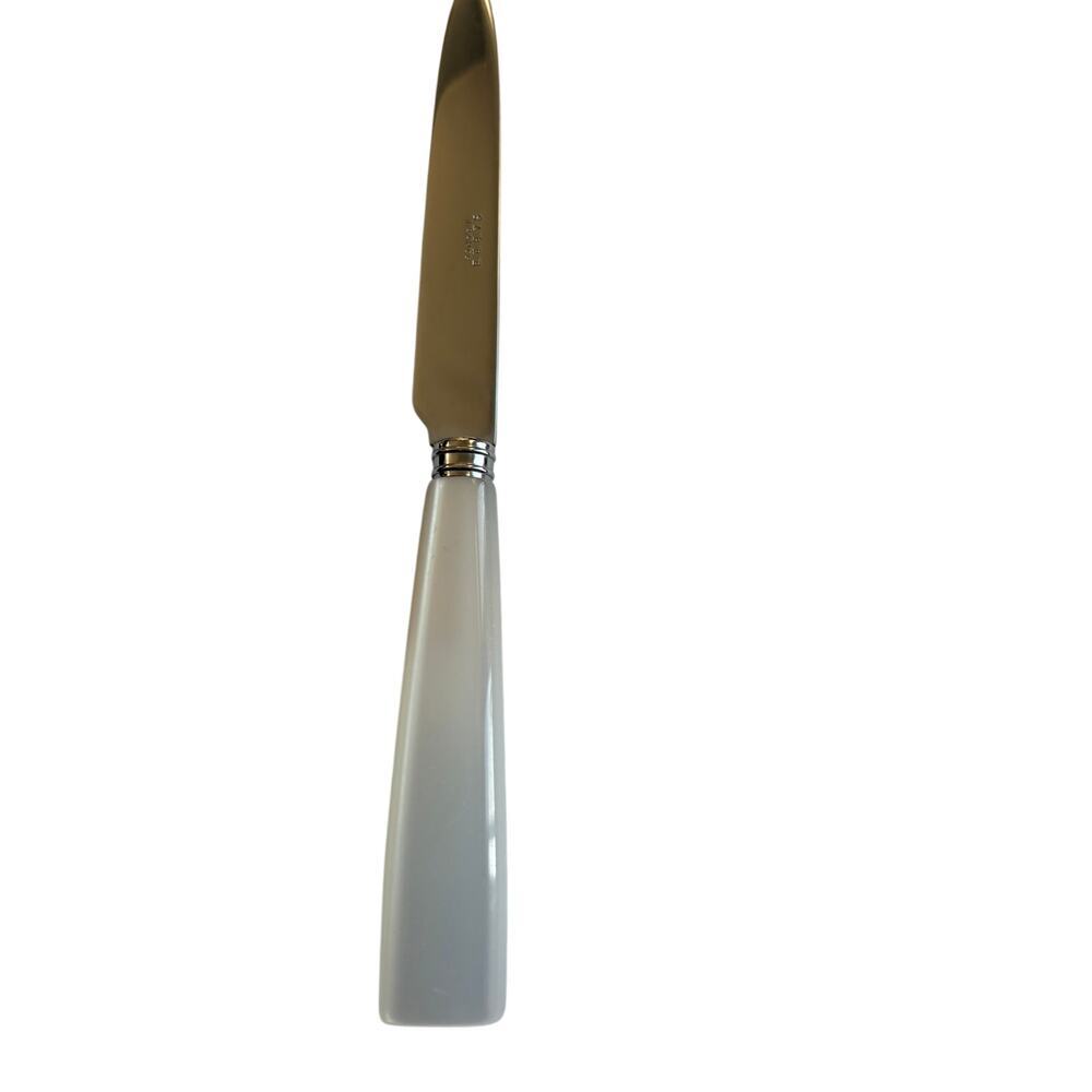 NEW Sabre Paris Icône White Dinner Knife 18/10 Stainless Acrylic